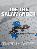 Joe the Salamander