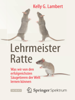 Lehrmeister Ratte: Was wir von den erfolgreichsten Säugetieren der Welt lernen können