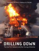 Drilling Down: The Gulf Oil Debacle and Our Energy Dilemma