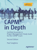 CAPM® in Depth