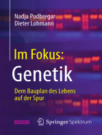 Im Fokus