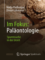 Im Fokus: Paläontologie: Spurensuche in der Urzeit