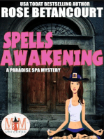 Spells Awakening: Magic and Mayhem Universe