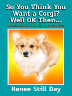 So You Think You Want a Corgi? Well OK Then…