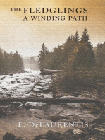 The Fledglings ~ A Winding Path