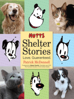 MUTTS Shelter Stories