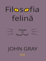 Filosofia felina