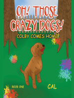 Oh! Those Crazy Dogs!: Colby Comes Home