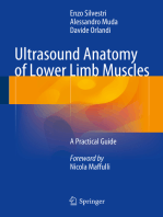 Ultrasound Anatomy of Lower Limb Muscles: A Practical Guide