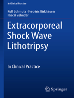 Extracorporeal Shock Wave Lithotripsy: In Clinical Practice