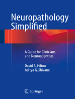 Neuropathology Simplified: A Guide for Clinicians and Neuroscientists