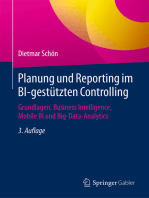 Planung und Reporting im BI-gestützten Controlling: Grundlagen, Business Intelligence, Mobile BI und Big-Data-Analytics