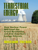 Terrestrial Energy: How Nuclear Power Will Lead the Green Revolution and End America's Energy Odyssey