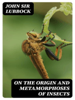 On the Origin and Metamorphoses of Insects