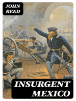 Insurgent Mexico