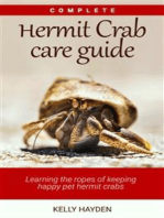 Complete Hermit Crab Care Guide