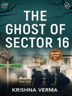 The Ghost of Sector- 16