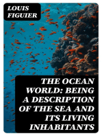 The Ocean World