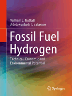 Fossil Fuel Hydrogen