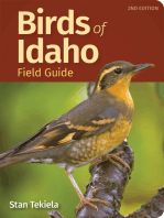 Birds of Idaho Field Guide