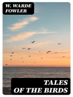 Tales of the birds