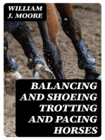 Balancing and Shoeing Trotting and Pacing Horses