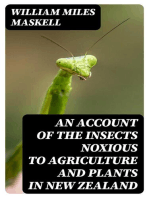 An Account of the Insects Noxious to Agriculture and Plants in New Zealand