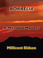 Borrelia