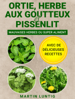 Ortie, Herbe aux goutteux et Pissenlit: Mauvaises herbes ou super aliment - Avec de délicieuses recettes