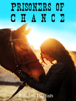 Prisoners of Chance: Romance Novel