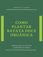 Como Plantar Batata-doce Orgânica