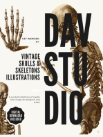 Vintage Skulls & Skeletons Illustrations: DAV Studio