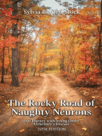 The Rocky Road of Naughty Neurons