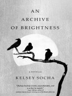An Archive of Brightness