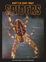 What's So Scary about Spiders?