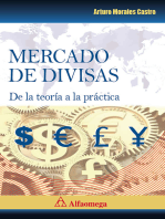 Mercado de divisas de la teoría a la práctica