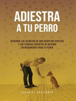 Adiestra A Tu Perro: Descubre Los Secretos de Una Disciplina Positiva y Las Técnicas Secretas de un Buen Entrenamiento Para Tu Perro