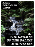 The Gnomes of the Saline Mountains