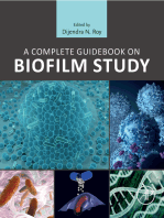 A Complete Guidebook on Biofilm Study