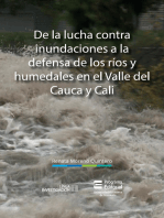 De la lucha contra inundaciones a la defensa de ríos y humedales en el Valle del Cauca y Cali