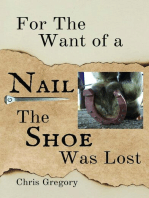 For the Want of a Nail, The Shoe Was Lost