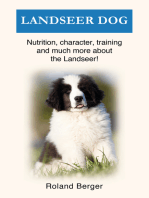 Landseer Dog: Nutrition, character, training and much more about the Landseer