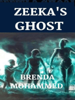 Zeeka's Ghost: Revenge of Zeeka Book 4