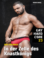 Gay Hardcore 23