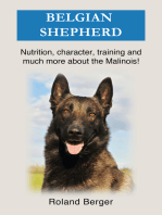 Belgian Shepherd: Nutrition, character, training and much more about the Belgian Shepherd Malinois