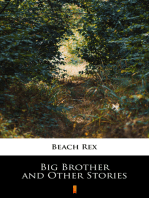 Big Brother and Other Stories