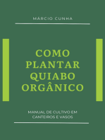 Como Plantar Quiabo Orgânico