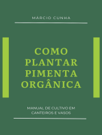 Como Plantar Pimenta Orgânica