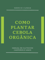 Como Plantar Cebola Orgânica
