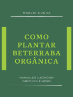 Como Plantar Beterraba Orgânica